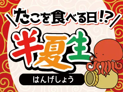 たこを食べる日!?半夏生 はんげしょう